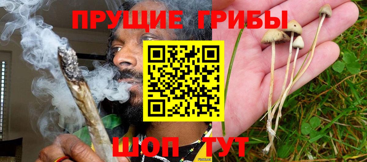 МЕТ  Вход с VPN  COCAIN  Гашиш  Меф МЯУ МЯУ   Павлово  Марихуана  Вейп ТГК 