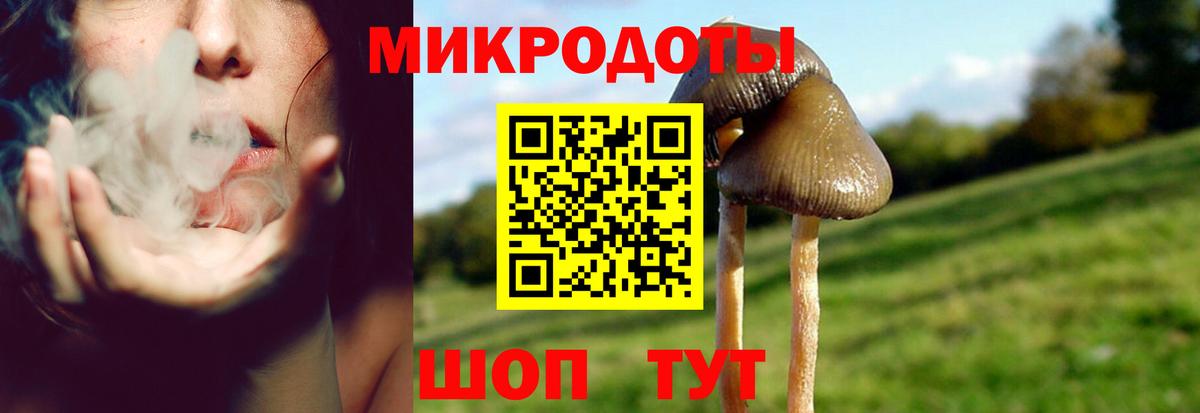 Псилоцибиновые грибы мицелий  Вход с VPN  Псилоцибиновые грибы Psilocybine cubensis  хочу наркоту  Павлово 