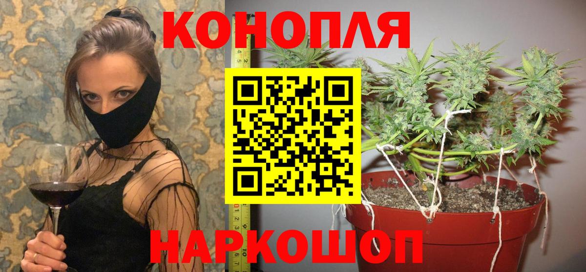 Конопля AK-47 Павлово